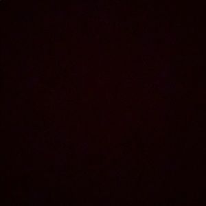 Meet your Posher, Isabella